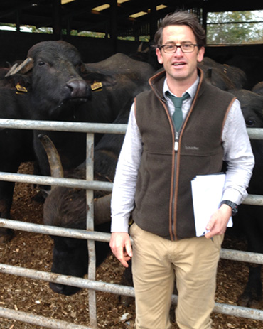 Ian Knight - Livestock Services