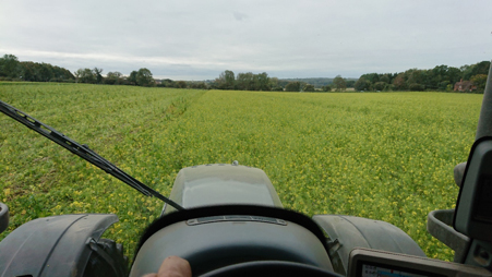 Planting second wheat