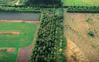 Climate Farm Demo Meeting