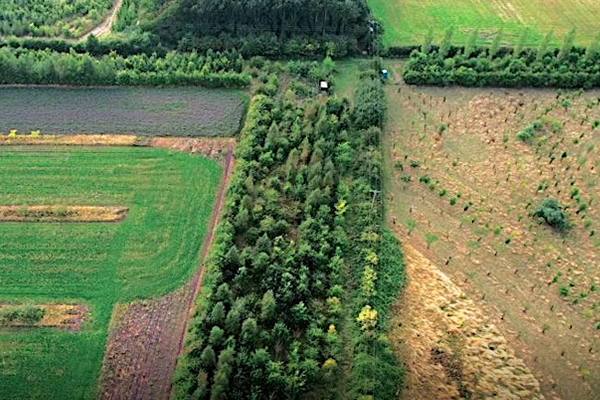 Climate Farm Demo Meeting