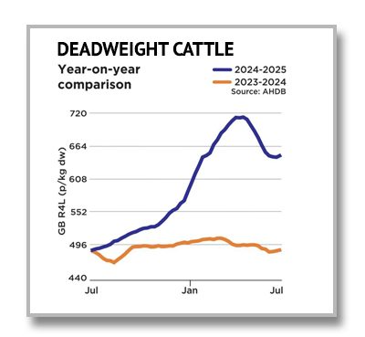 Cattle dead weight 0725 Deadweight Cattle Graph 0225