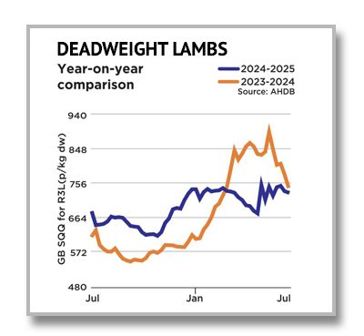Lambs dead weight 0725 Deadweight Lambs Graph 0225