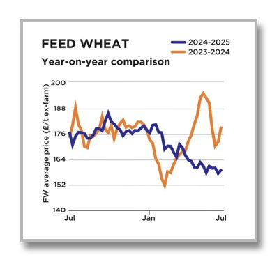Feed Wheat weight 0725 Feed Wheat Graph 0225